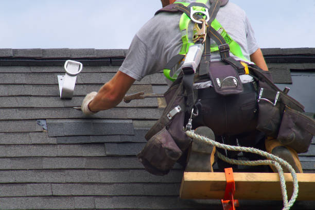 Best Storm Damage Roof Repair  in Shady Hills, FL