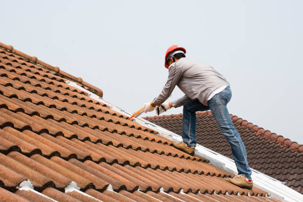 Best Gutter Installation and Repair  in Shady Hills, FL