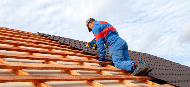 Best Roof Installation  in Shady Hills, FL