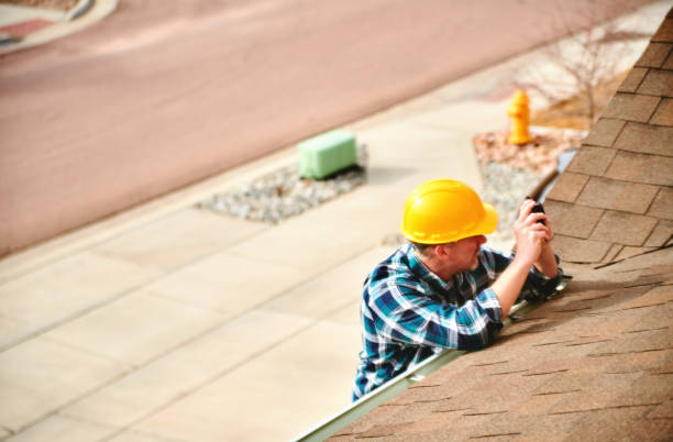 Best Chimney Flashing Repair  in Shady Hills, FL