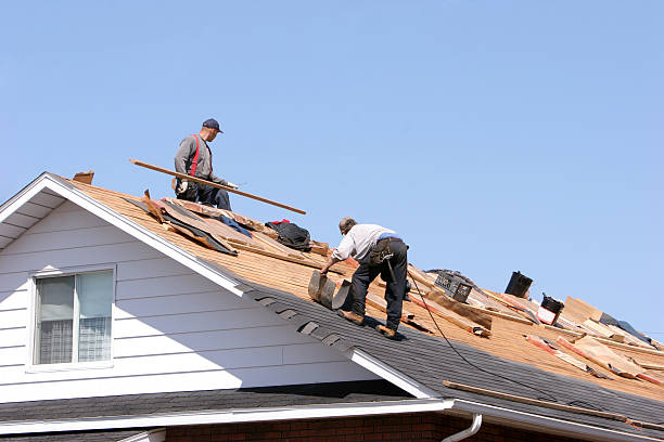 Best Green or Eco-Friendly Roofing Solutions  in Shady Hills, FL